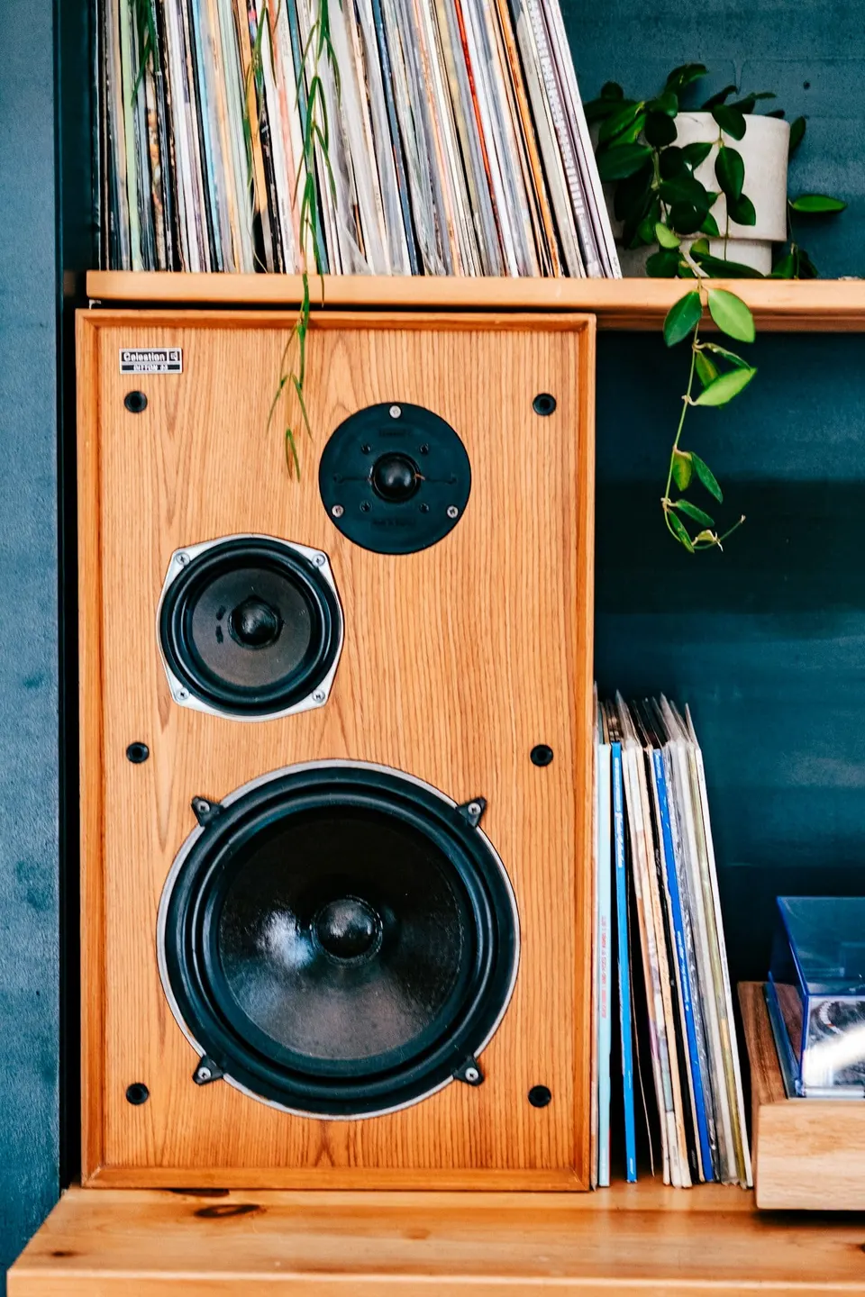 Holzlautsprecher auf einem Sideboard neben einem Regal mit Schallplatten