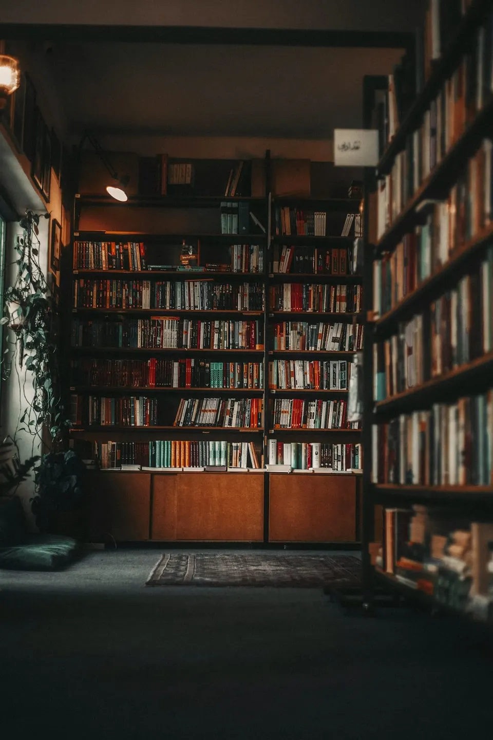 Hohes, dicht gefülltes Bücherregal neben einem Fenster mit Tageslicht